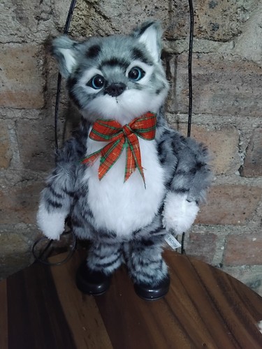 Grey tabby cat - cat, 11