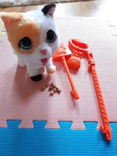 Cat toy eats and - and, has
