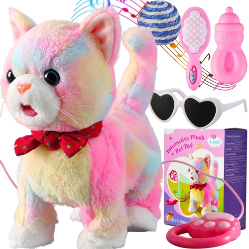 Colorful leash walking - colorful, cat