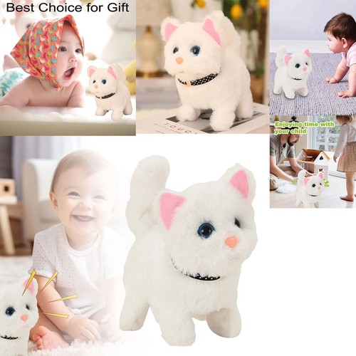 Electronic pet cat toy walking - pet,