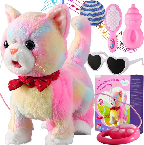 Colorful leash walking cat set - cat,