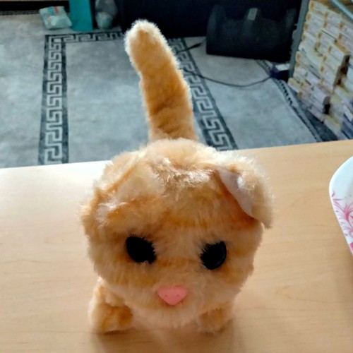 Mini plush cat soft toy - plush,