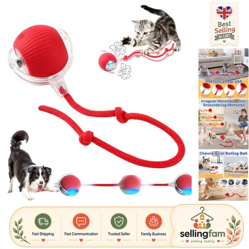 Durable interactive pet - pet, ball