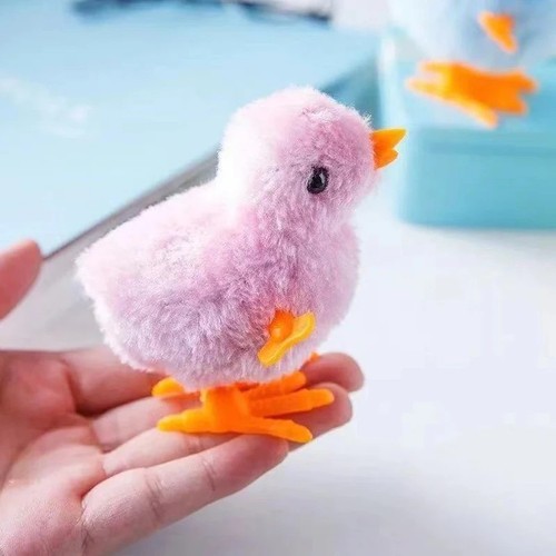 Wind chick cat - chick,