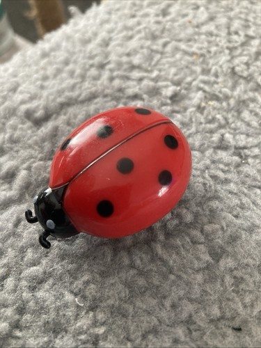 Walking ladybird - ladybird(cat, toy)