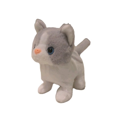 Plush animal kitten cat - plush,